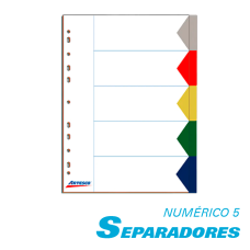 Separadores index 5 divisiones Artesco 